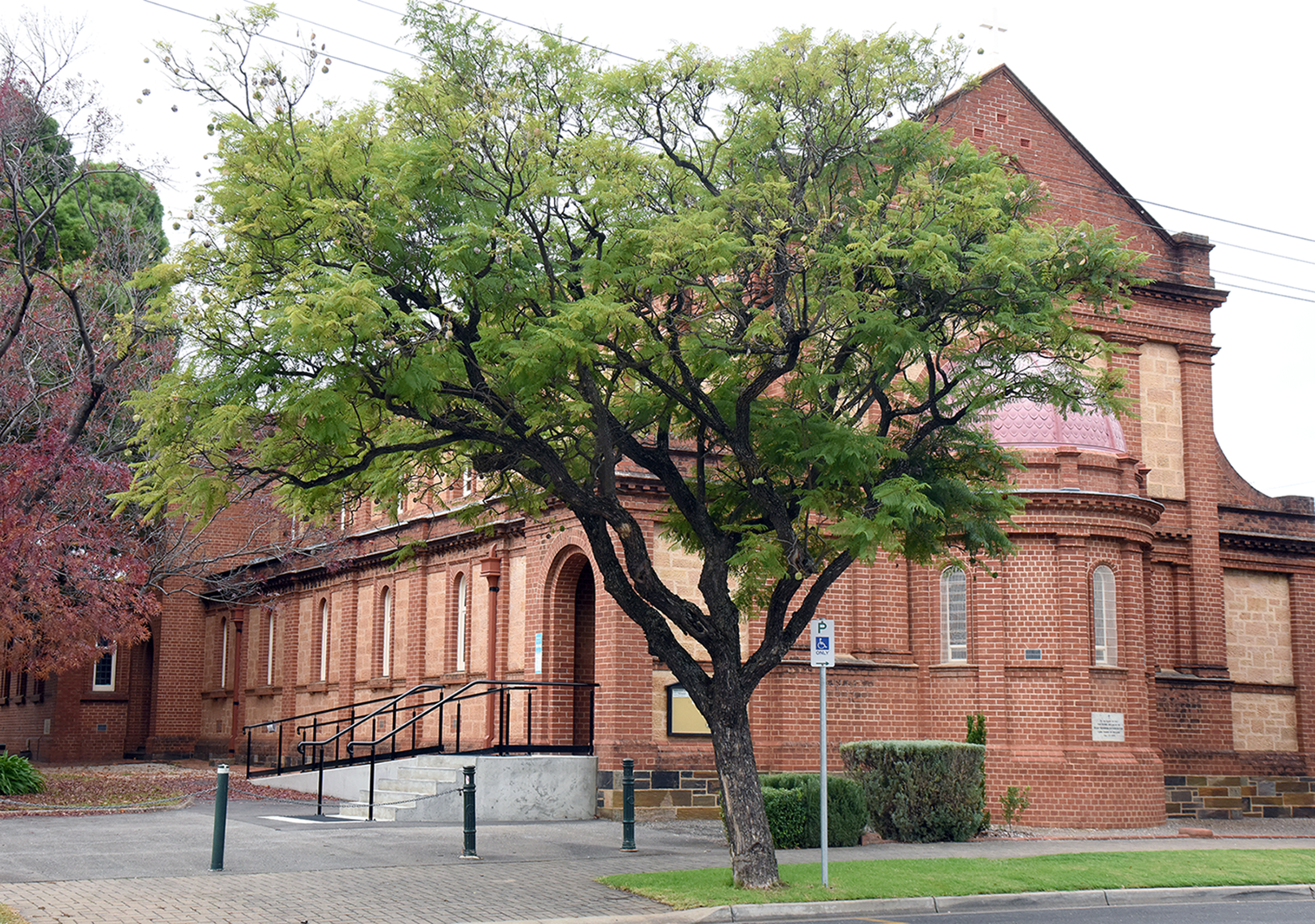 image of a school campus [background image]
