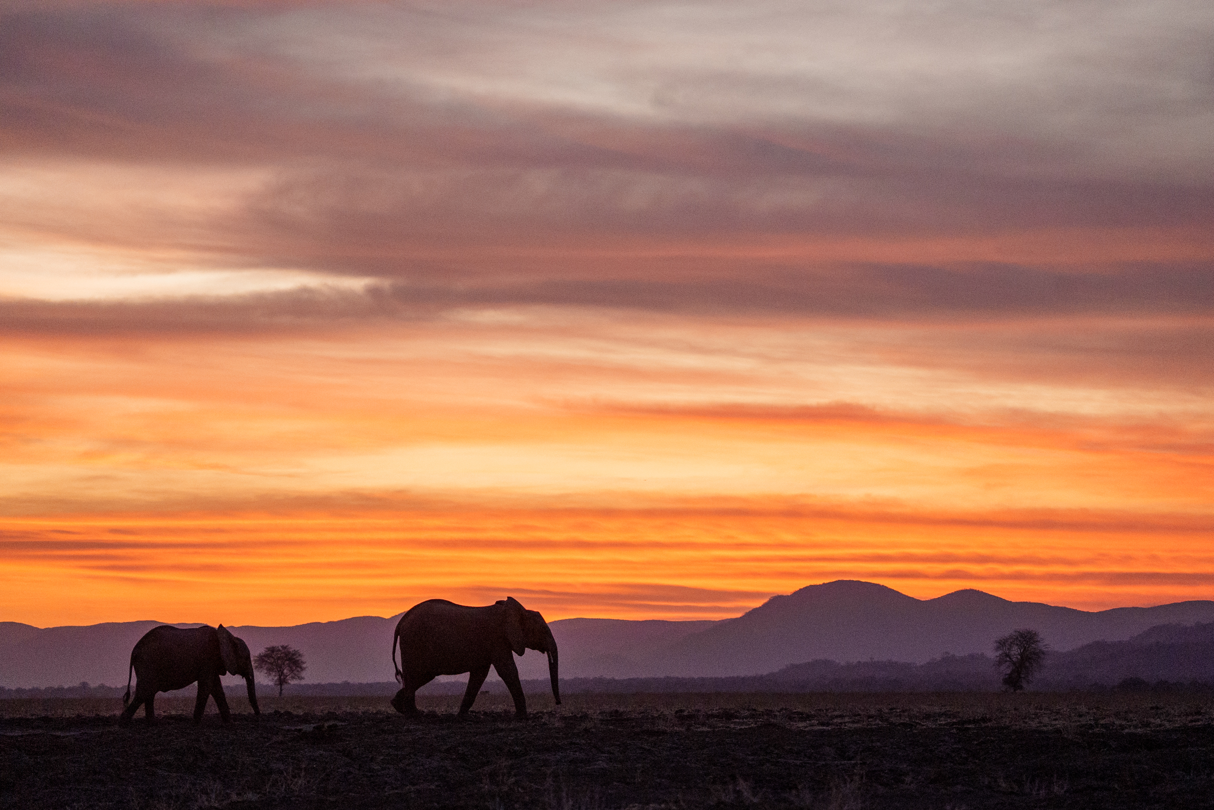A beautiful woman in a transparent shawl.