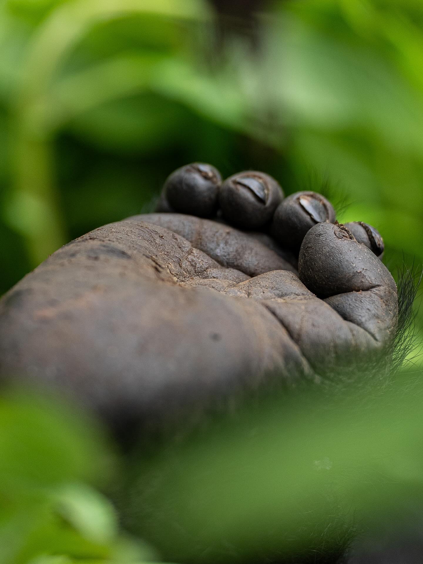 Single orange flower on the blue sky background.