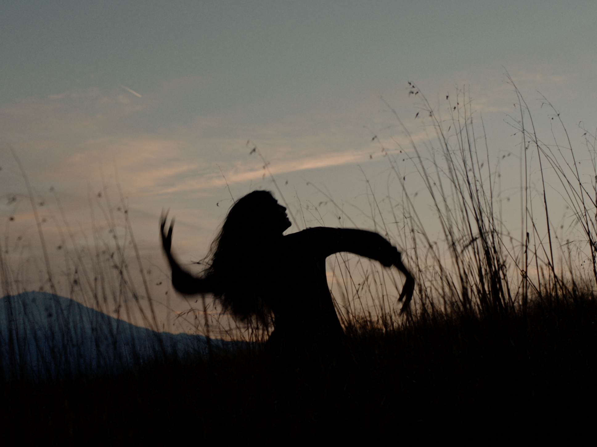Single orange flower on the blue sky background.