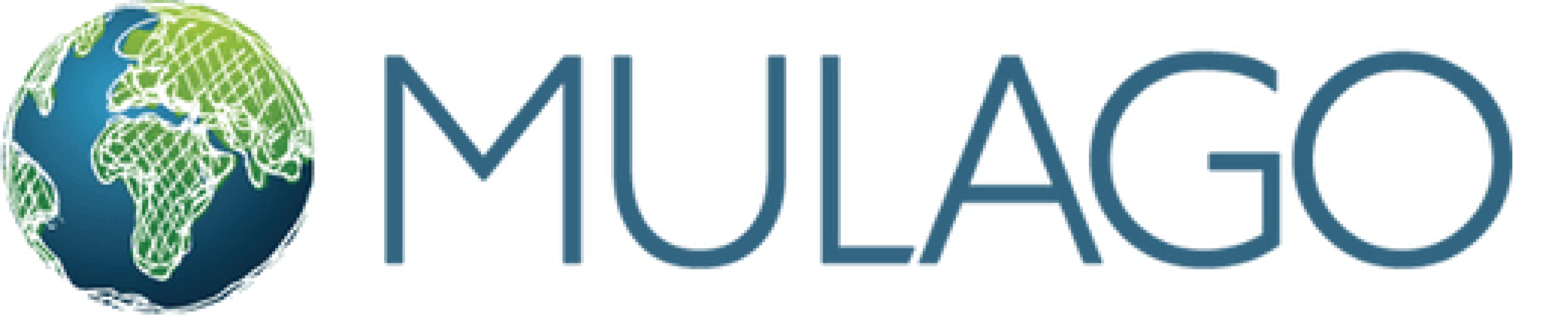 Logo with a stylized globe showing Africa and Europe alongside the text MULAGO foundation