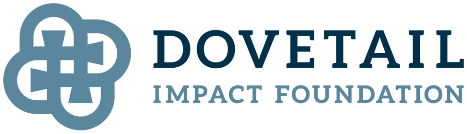 Dovetail Impact Foundation logo with a blue interlocking geometric design to the left of the text.