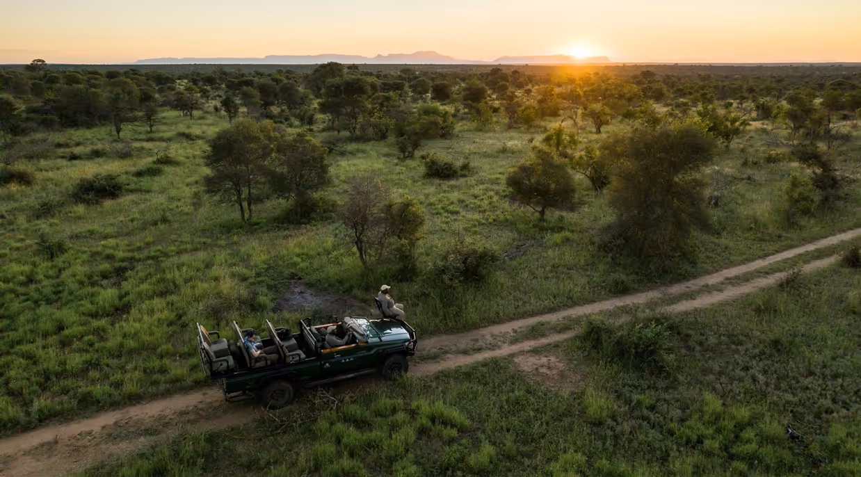 Safari truck with passengers on a dirt road in a green savanna at sunset with trees scattered around.