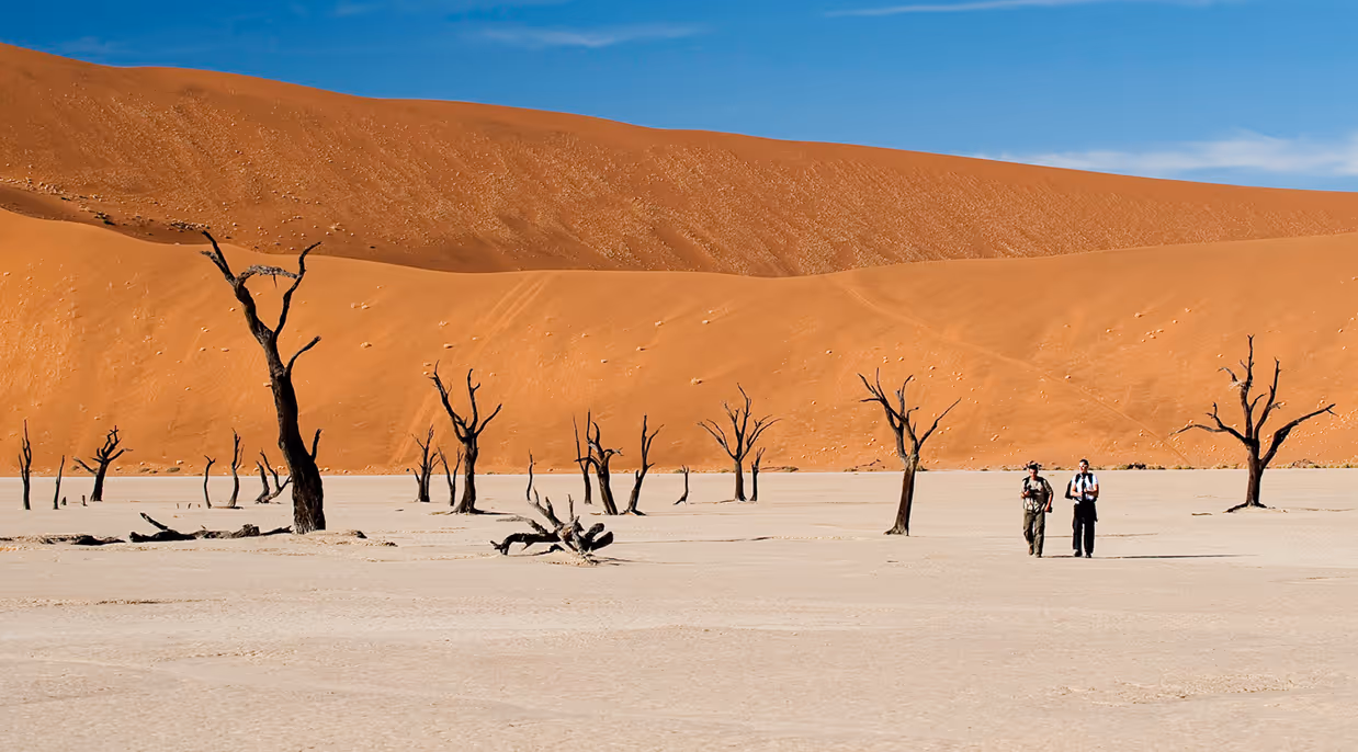 Two people walking on dry desert land with dead trees and large orange sand dunes in background.