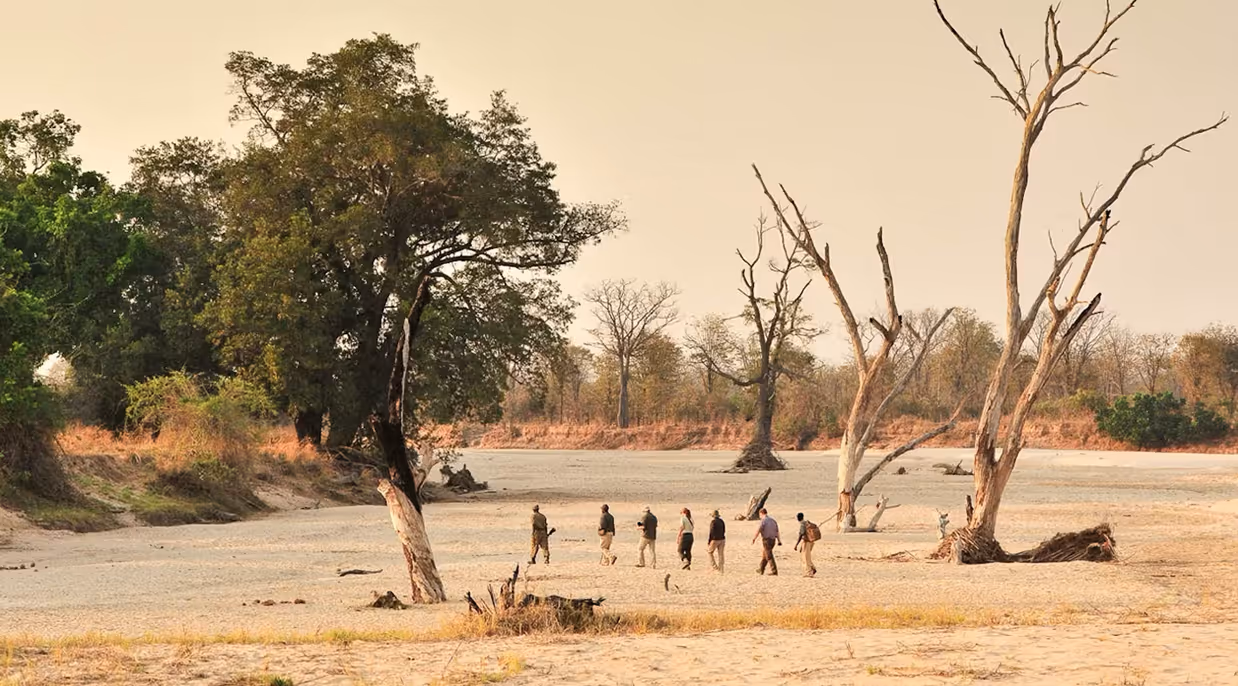 Group of eight people walking on dry riverbed surrounded by green and bare trees in wilderness.