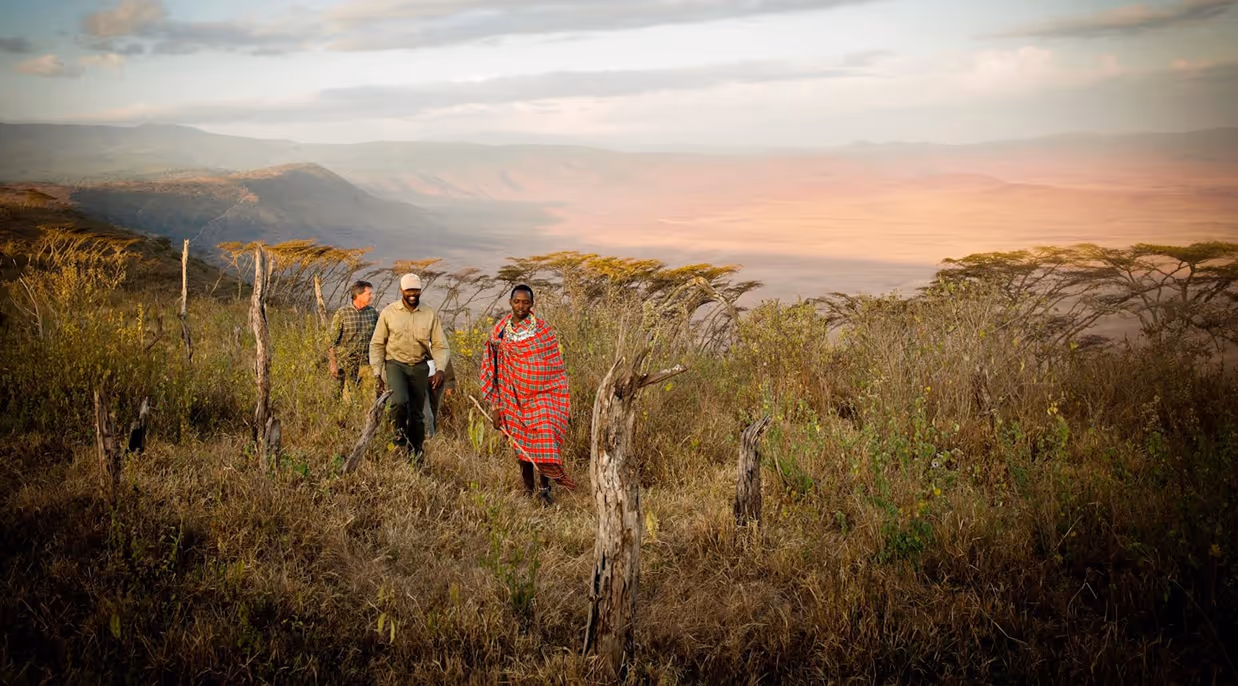 Three people walking on a grassy safari landscape with trees and distant mountains at sunset.