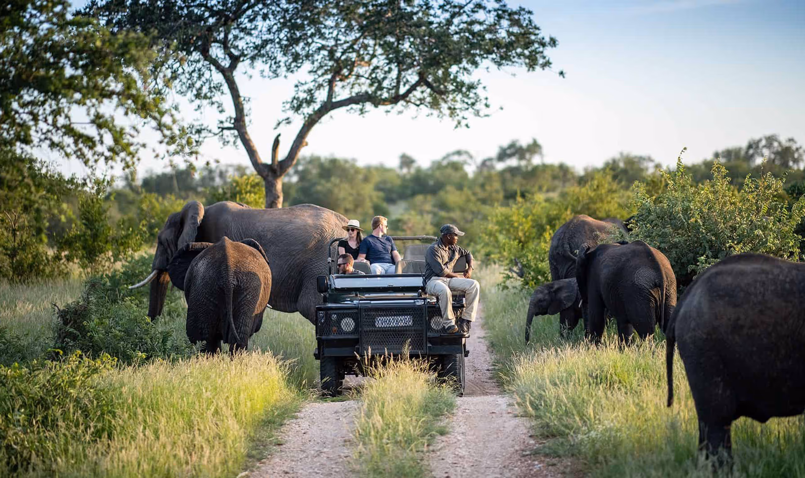 Four people on a safari vehicle surrounded by elephants on a grassy dirt path.