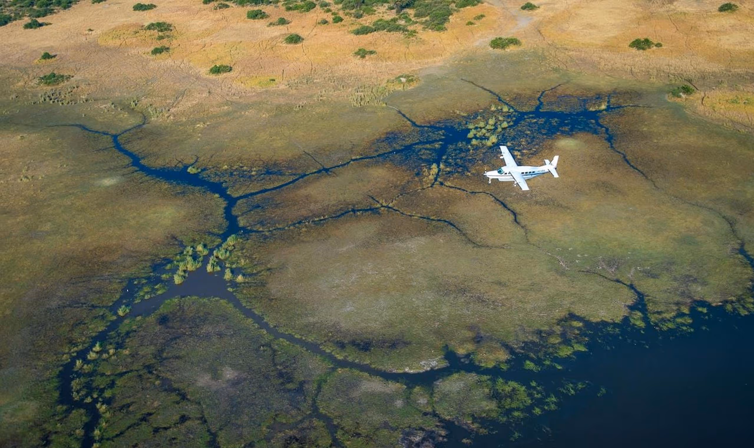 Small white airplane flying over a wetland with water channels and patches of vegetation.