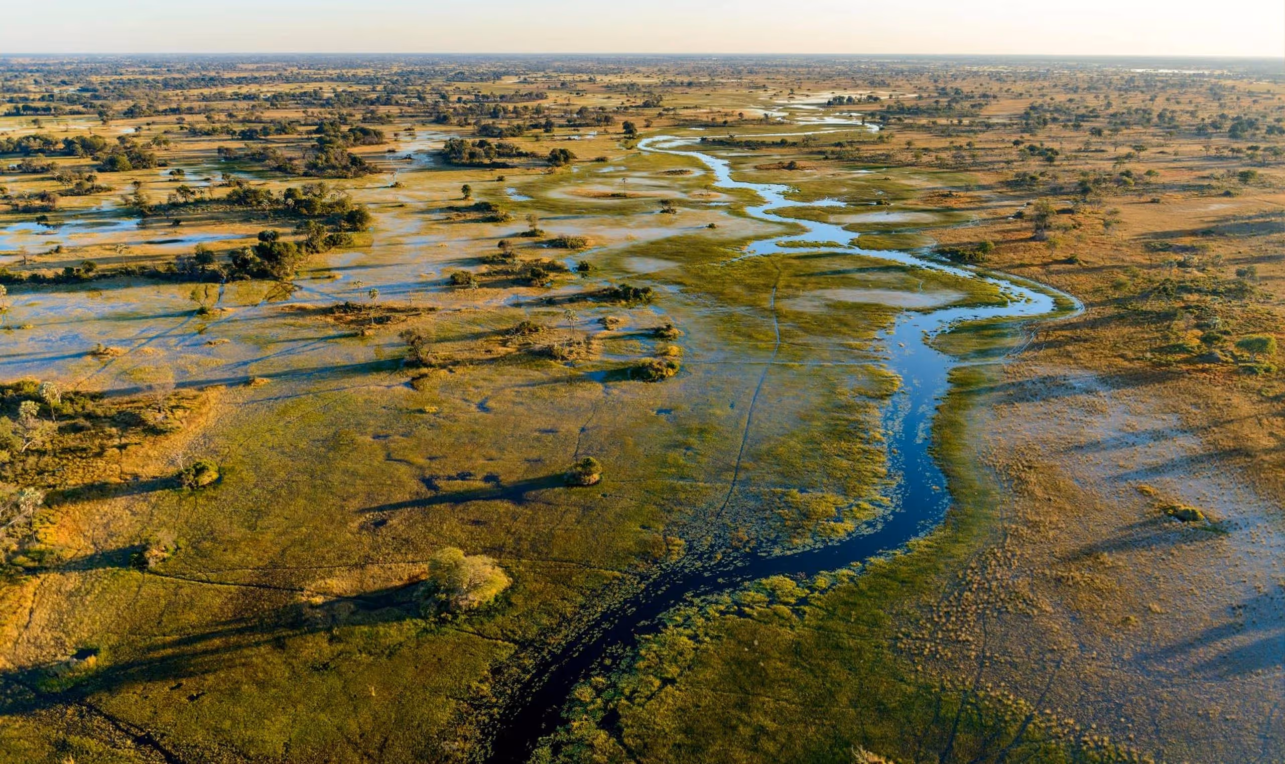 Aerial view of winding river through a vast green and brown wetland landscape at sunrise or sunset.