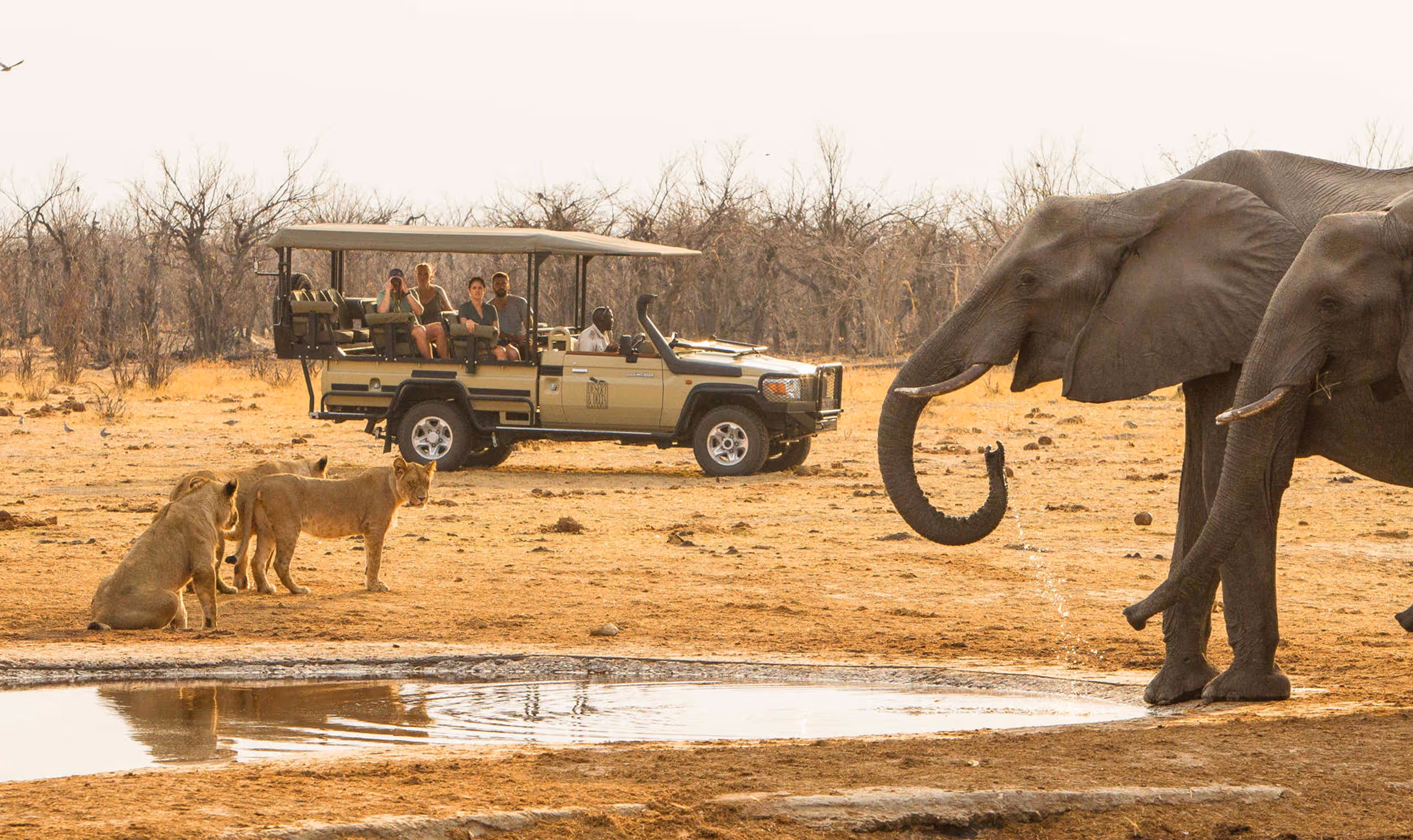 Safari vehicle with tourists watching lions and elephants at a watering hole in dry savannah.