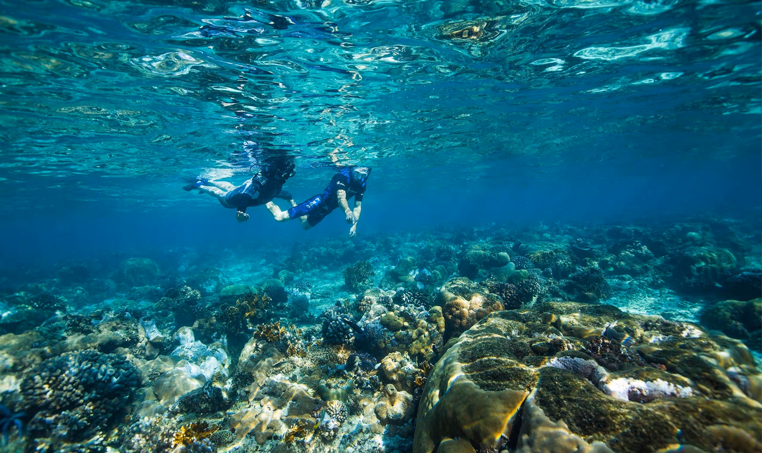 Two snorkelers explore a vibrant coral reef underwater under clear blue water.