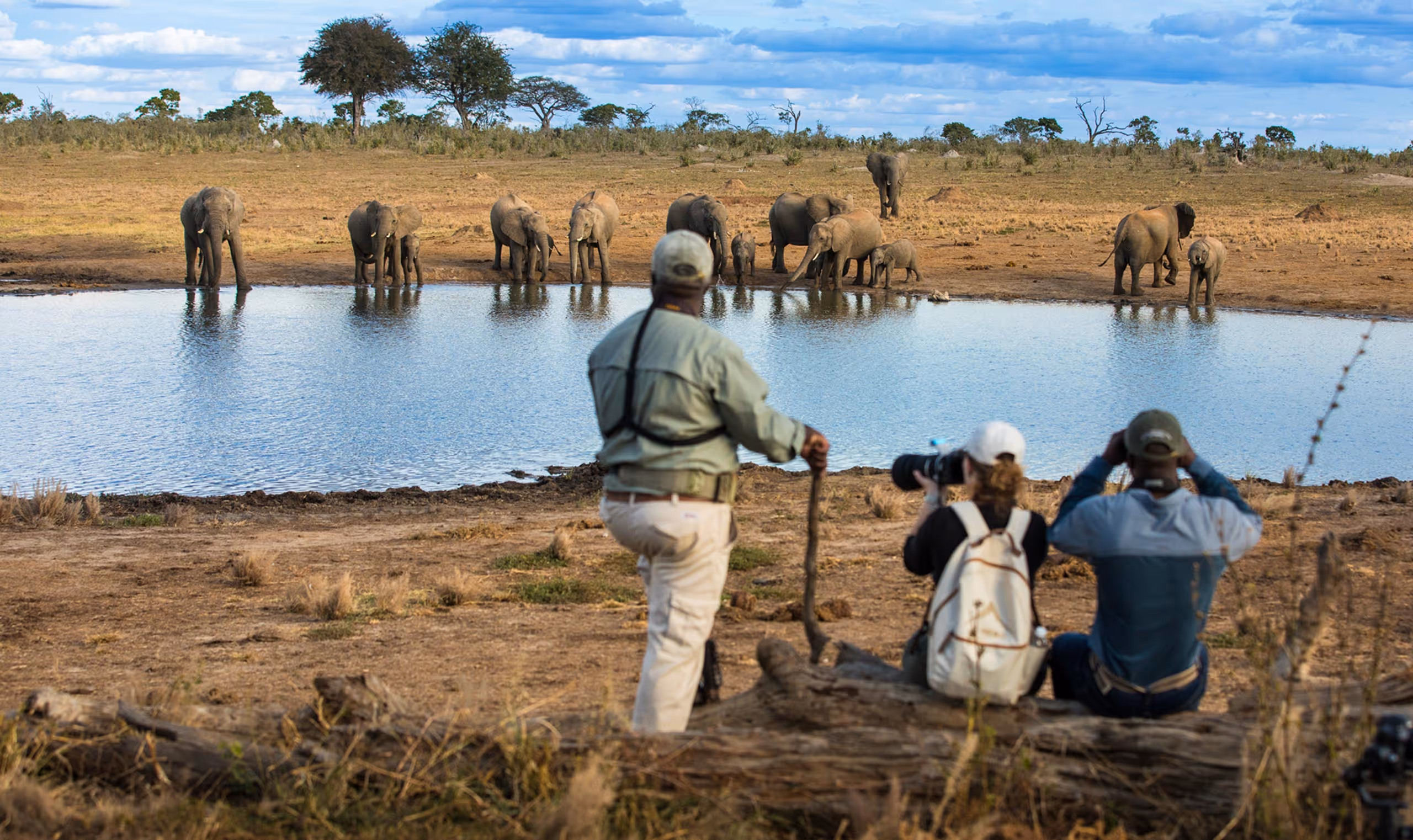 Group of tourists watching elephants and calves drinking water at a watering hole on safari.