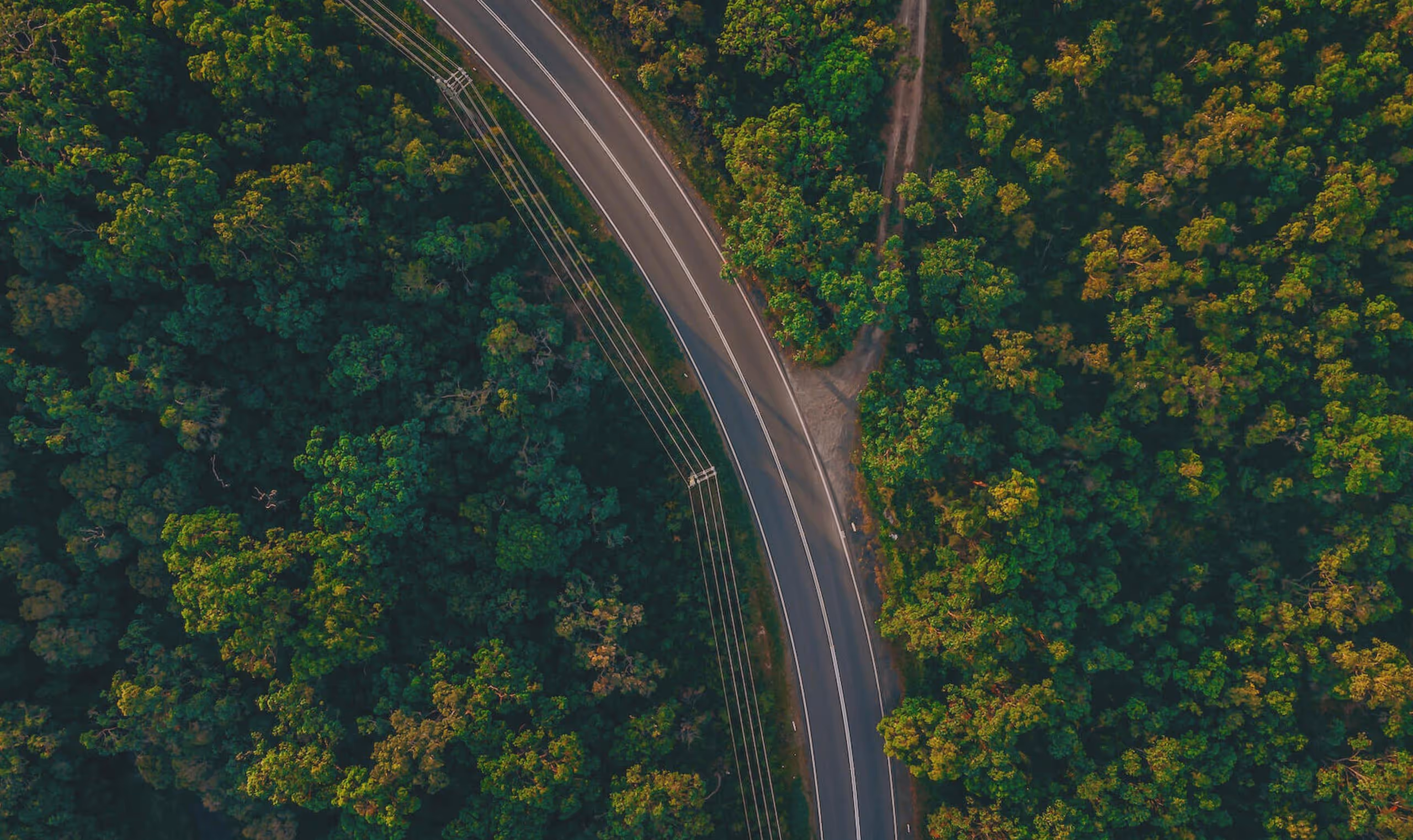 Aerial view of a winding road through dense green forest with power lines alongside it.