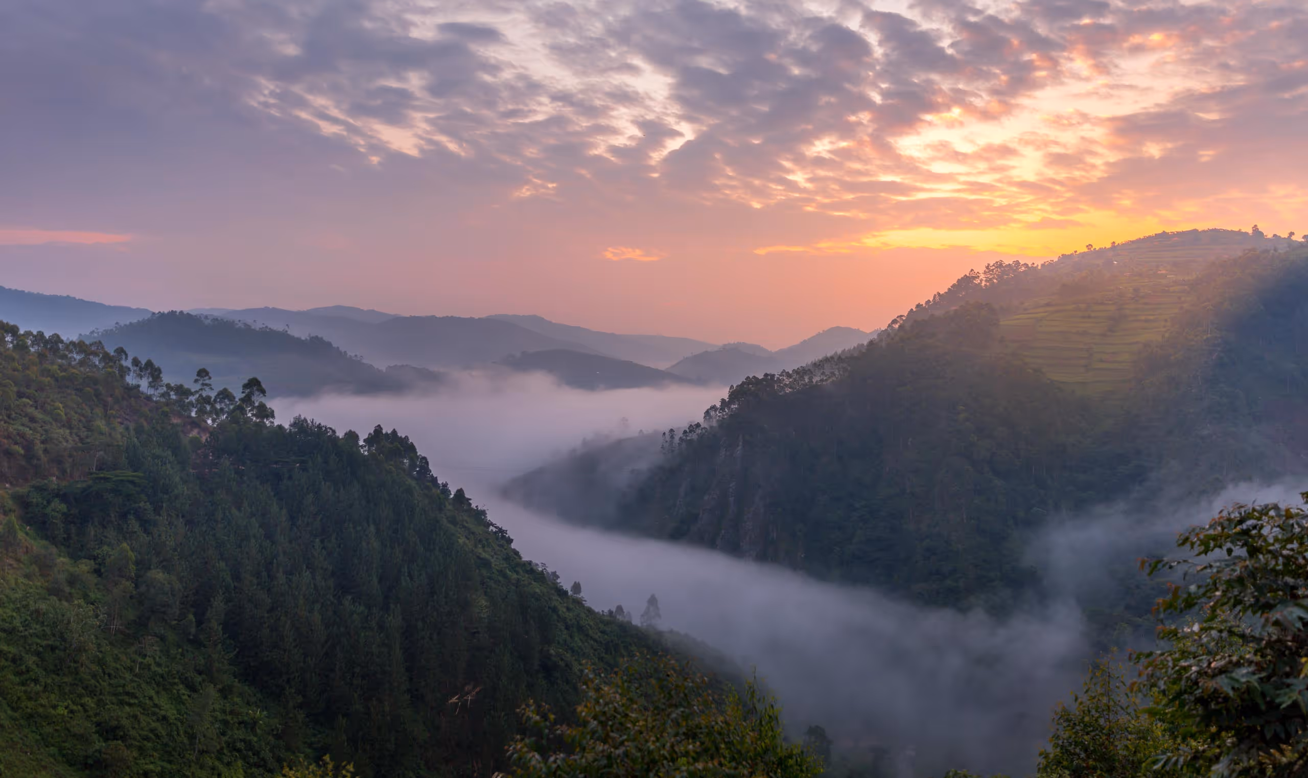 Sunset over misty valleys and forested hills with a cloudy sky in a scenic landscape.