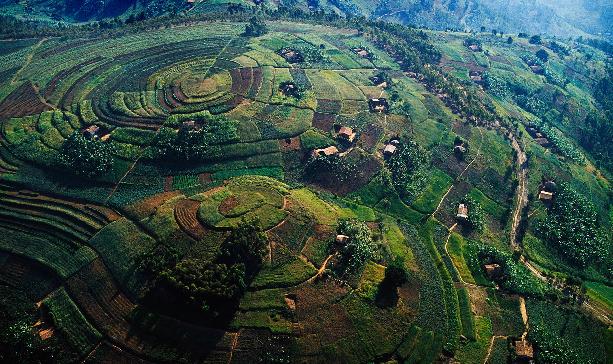Aerial view of circular and patchwork green farmland with scattered houses in a hilly region.