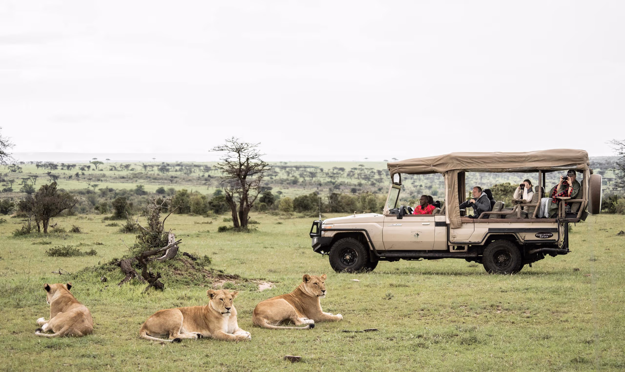 Safari vehicle with tourists photographing three lions resting on green grass in an open savanna.