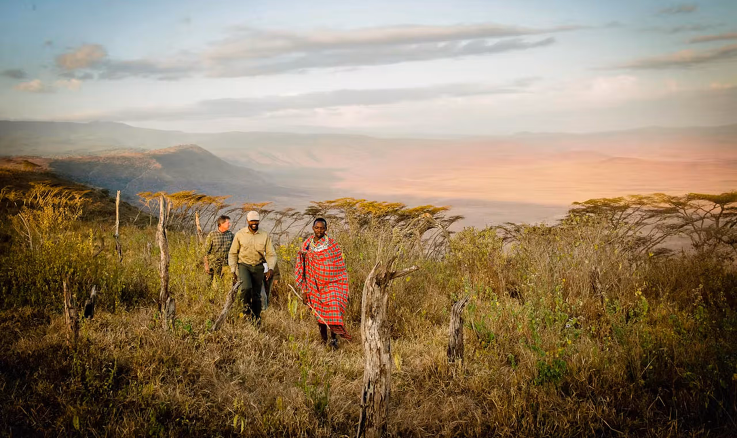 Three people walking through dry grassland with scattered trees and hills in the distance at sunset.