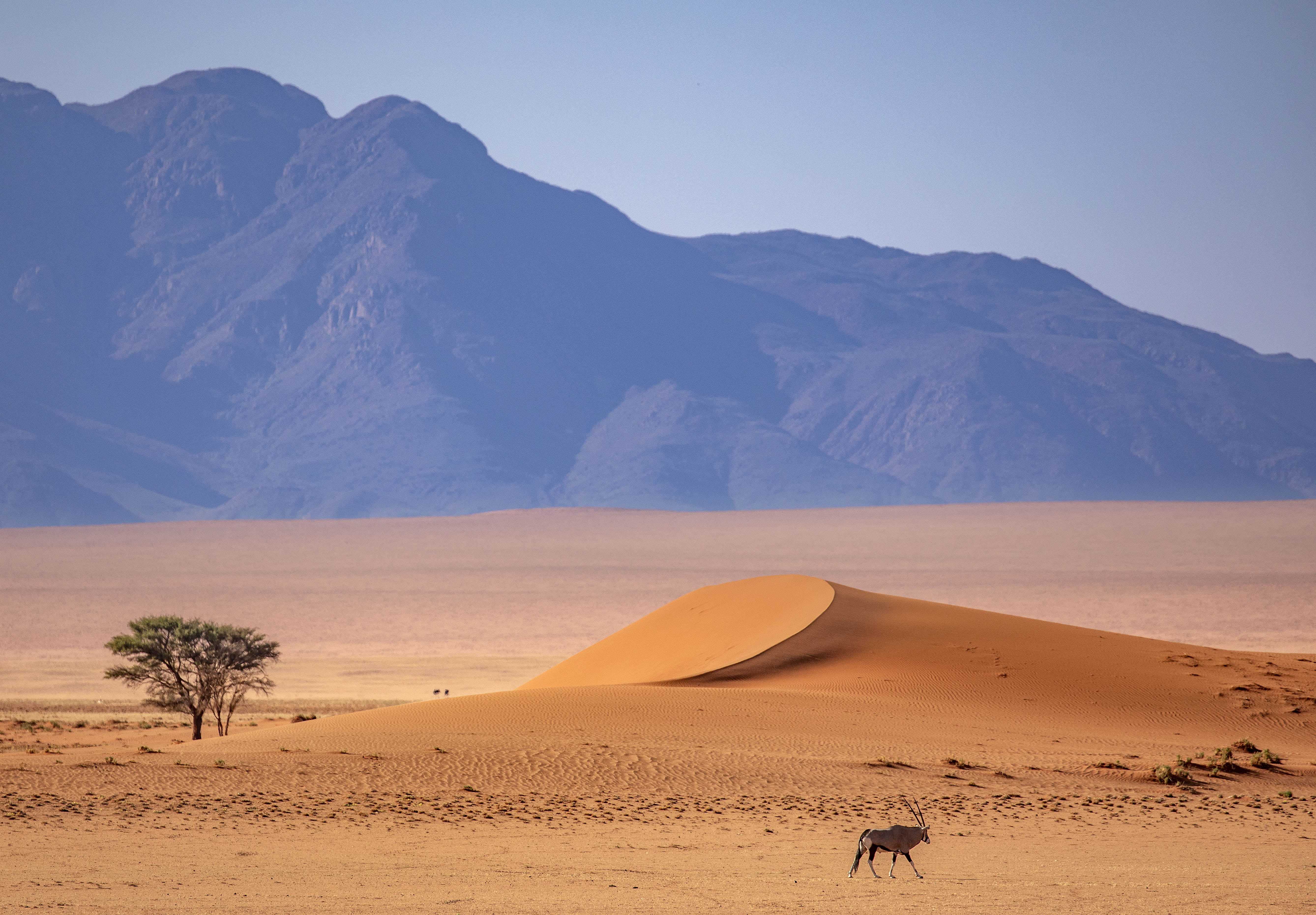 Kwessi Dunes, Namibia