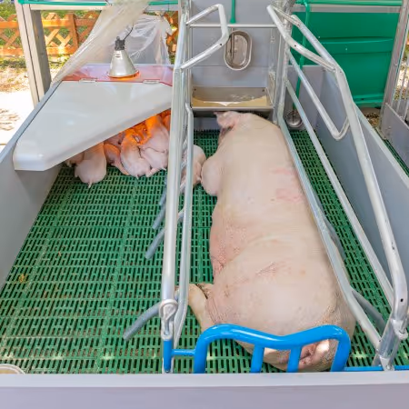 Instruments & Auxiliary