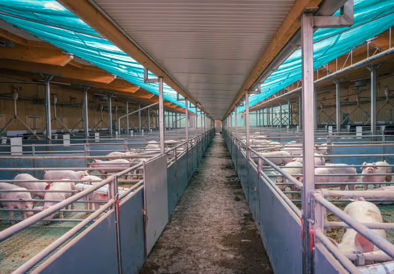 Smart Livestock Equipment