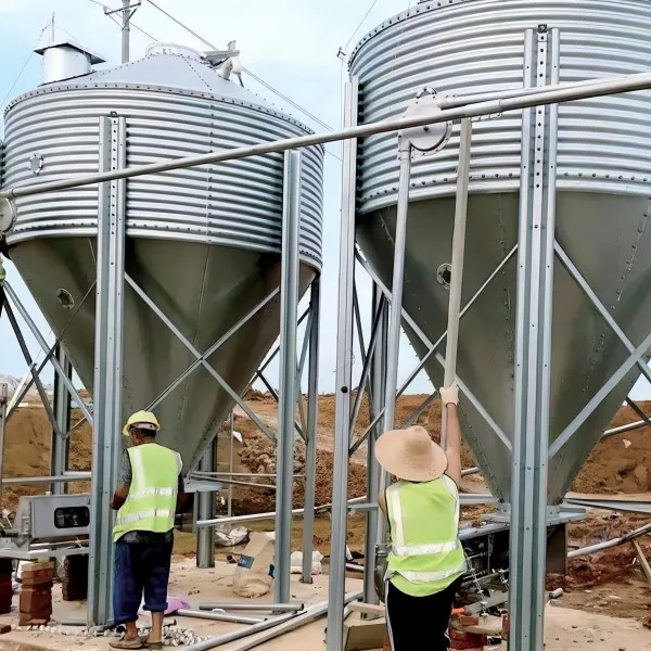 LivestocTech Process