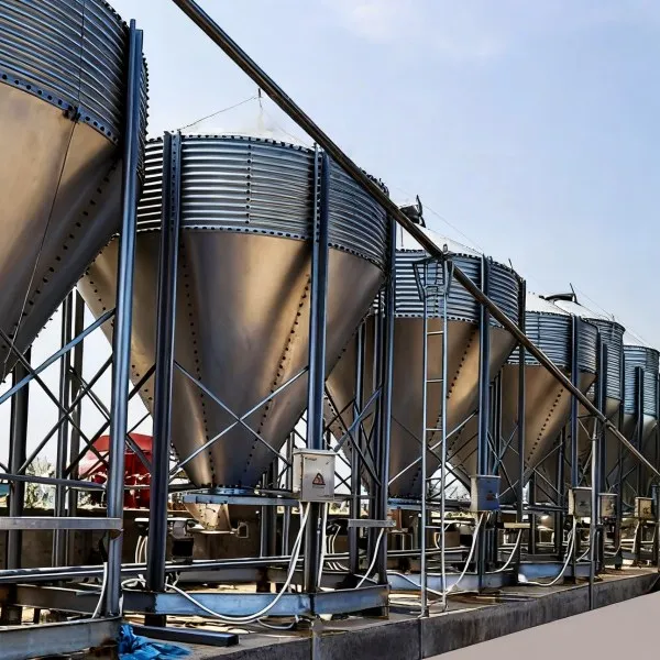 Automatic Feeding Line