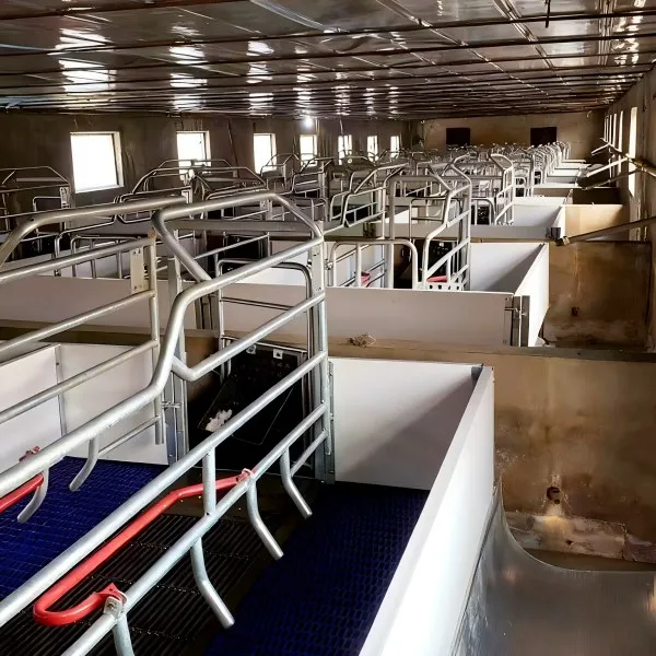 European farrowing crate