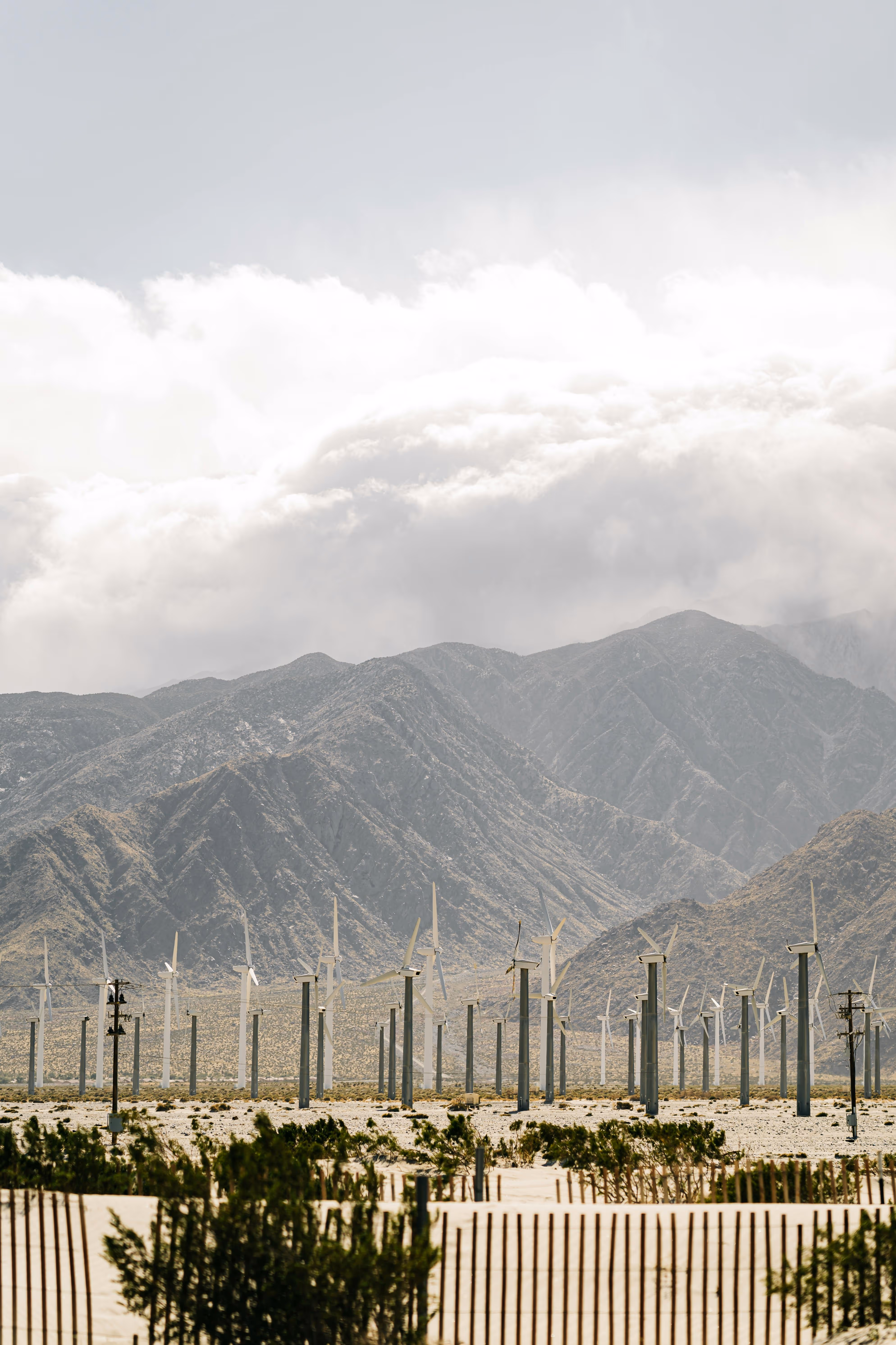 Wind turbines representing CarboNetZero’s commitment to renewable energy and sustainability.
