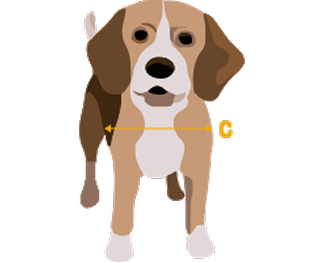 Front view illustration of a brown and white dog with an arrow labeled 'C' measuring its chest width.