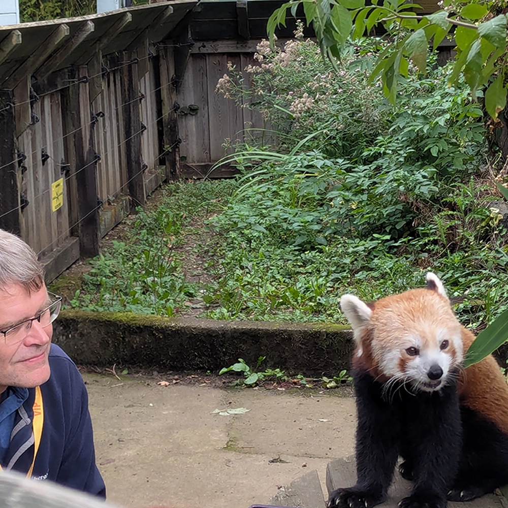 A photo of Tim Long and a red panda from Longleat Safari Park