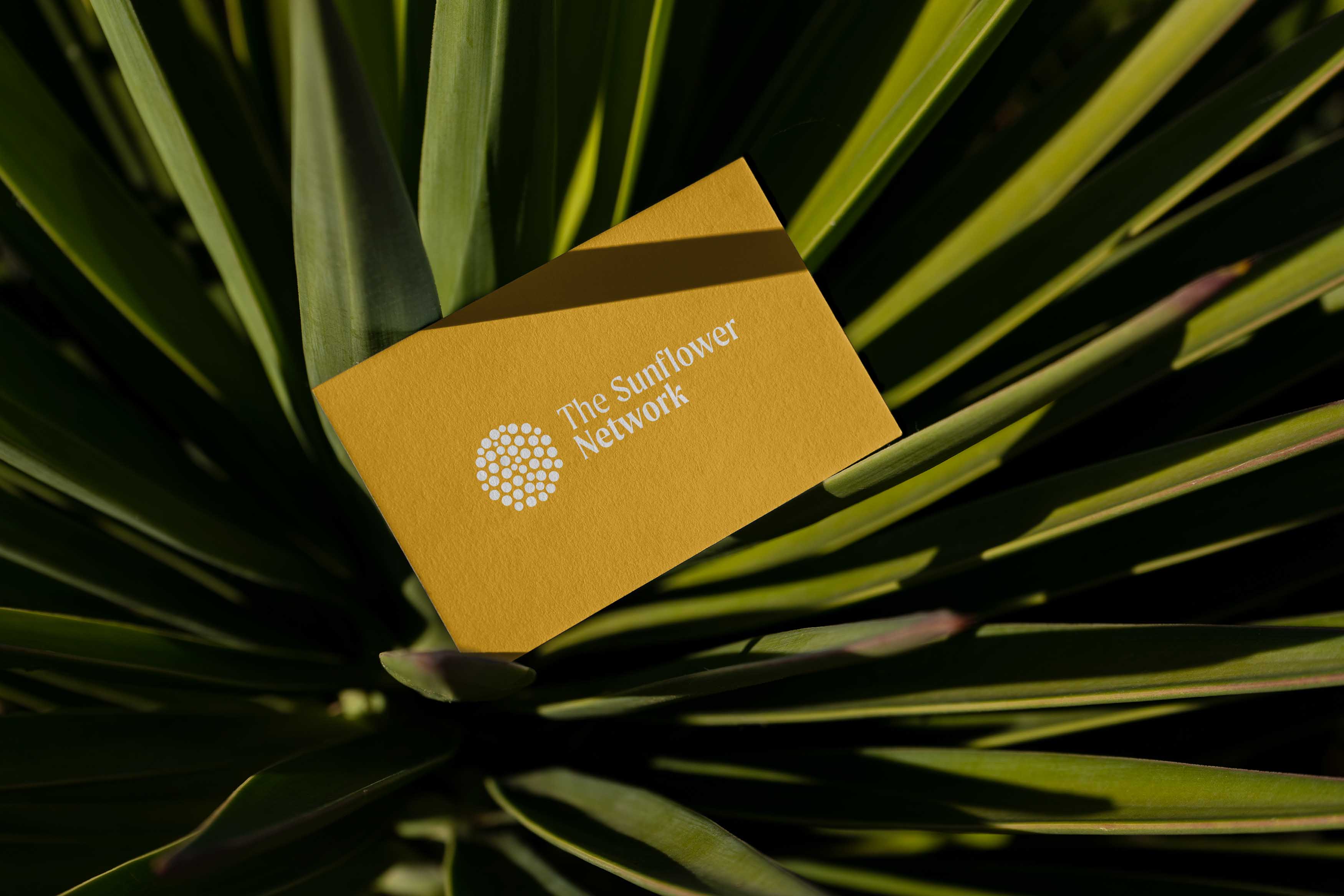 The Sunflower Network