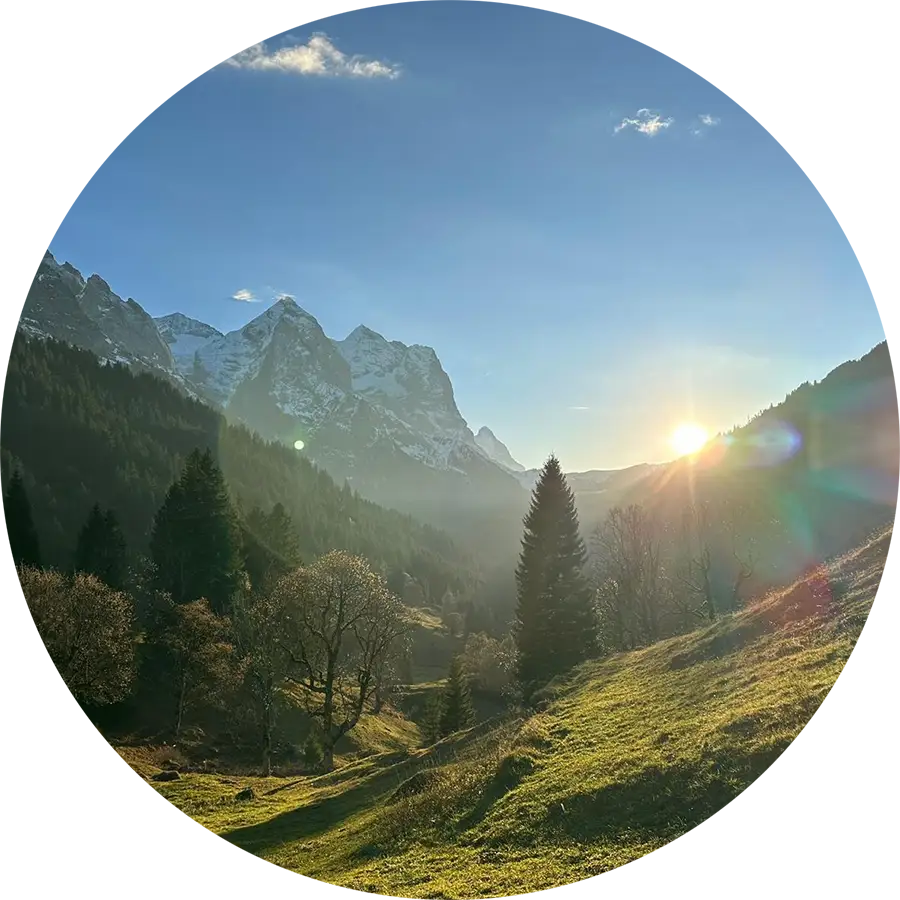 Sonnenuntergang über einem bewaldeten Tal mit schneebedeckten Bergen und grünen Wiesen.