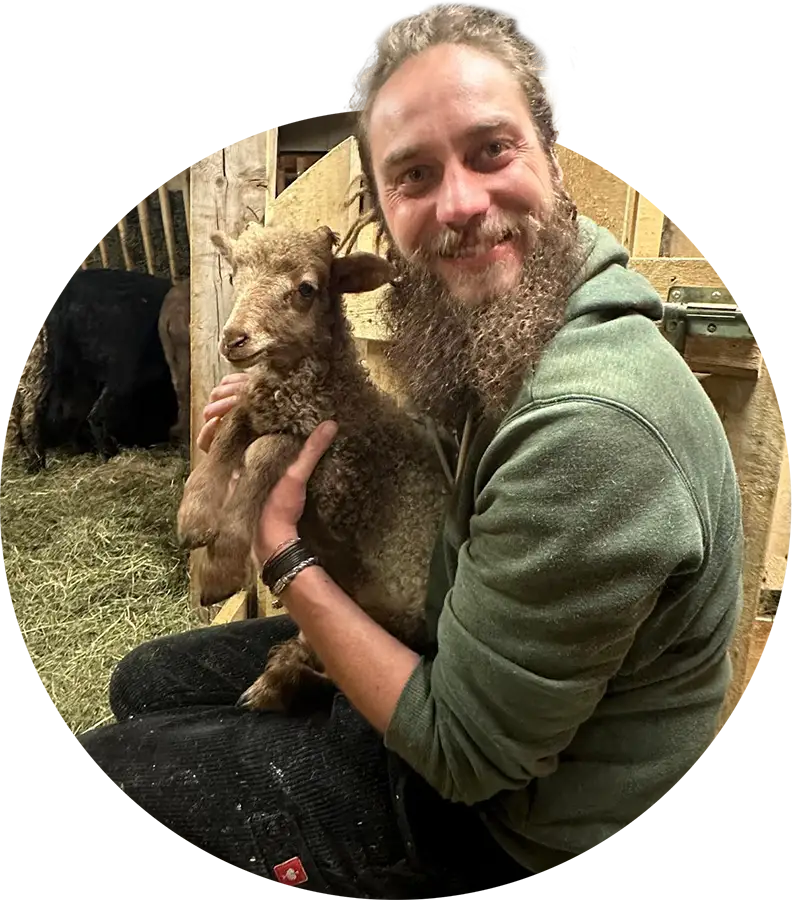 Mann mit Bart und grünem Kapuzenpullover hält ein kleines braunes Lämmchen in einem Stall.