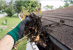 Hand mit grünem Handschuh entfernt verrottete Blätter und Wurzeln aus einem Dachrinnenablauf.