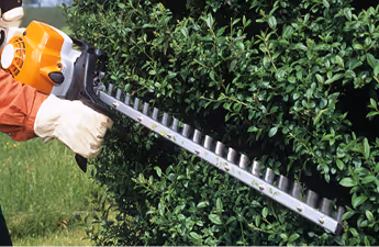 Person schneidet einen dichten, grünen Hecken mit einer motorbetriebenen Heckenschere.