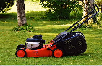 Rasenmäher mit rotem Gestell und schwarzem Fangkorb auf grünem Rasen zwischen Bäumen.