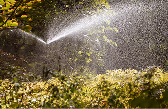 Wasserstrahl eines Gartenbewässerungssystems, der Sträucher und Pflanzen besprüht.
