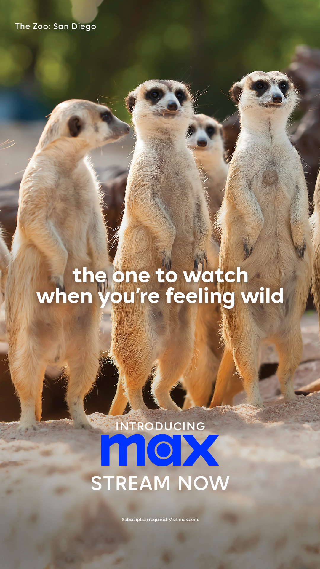 OOH - New CTA - The Zoo - 1080x1920