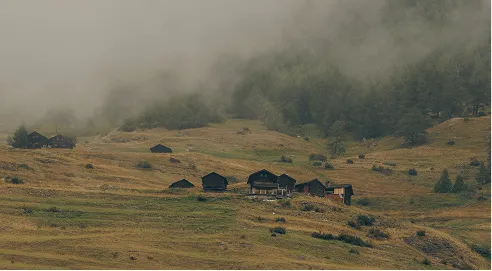 Small cabins scattered on misty hillside covered with grass and sparse trees.