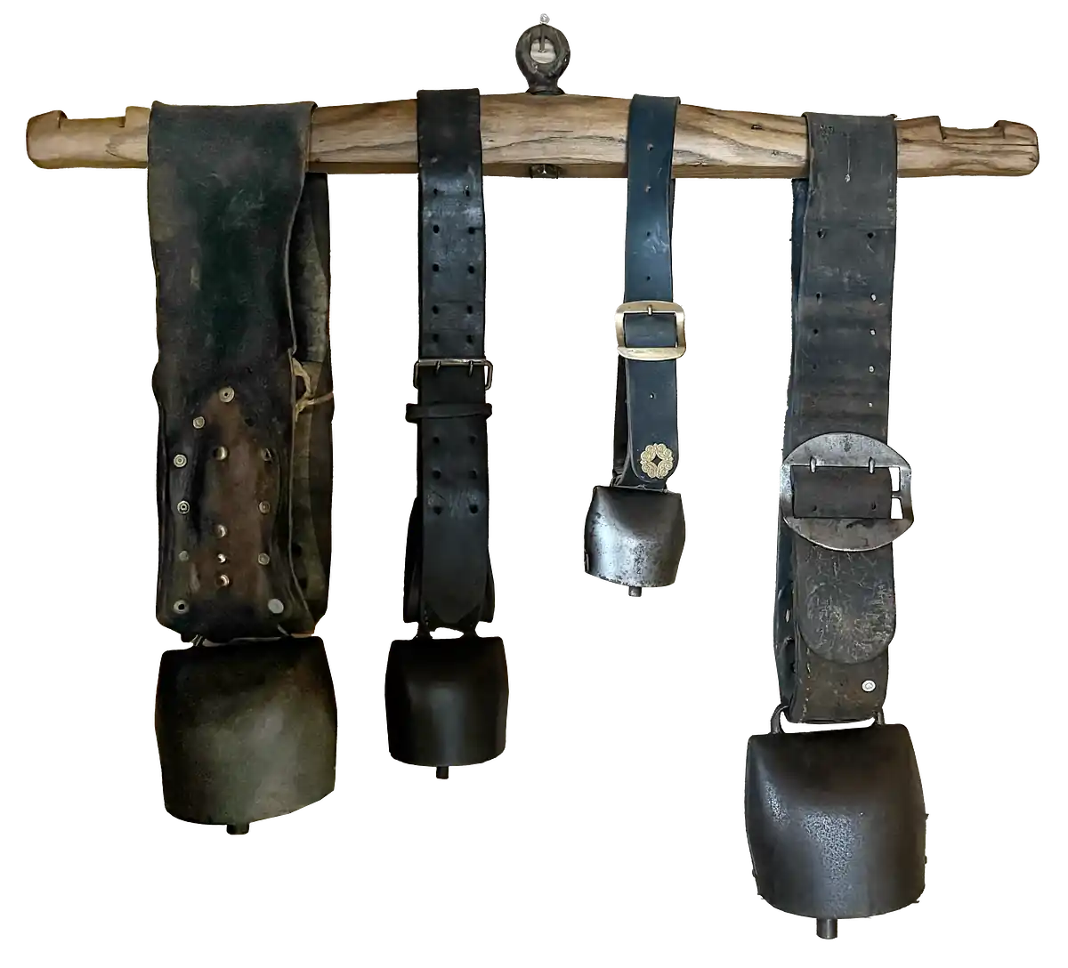 Four cowbells of varying sizes hanging on leather straps