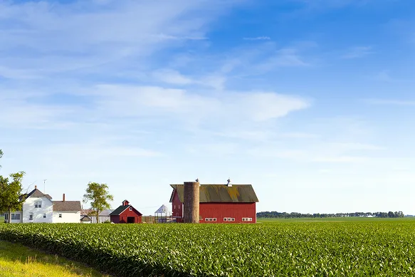 Wide green cornfield with a red barn, silo, and white farmhouse under a blue sky with wispy clouds.
