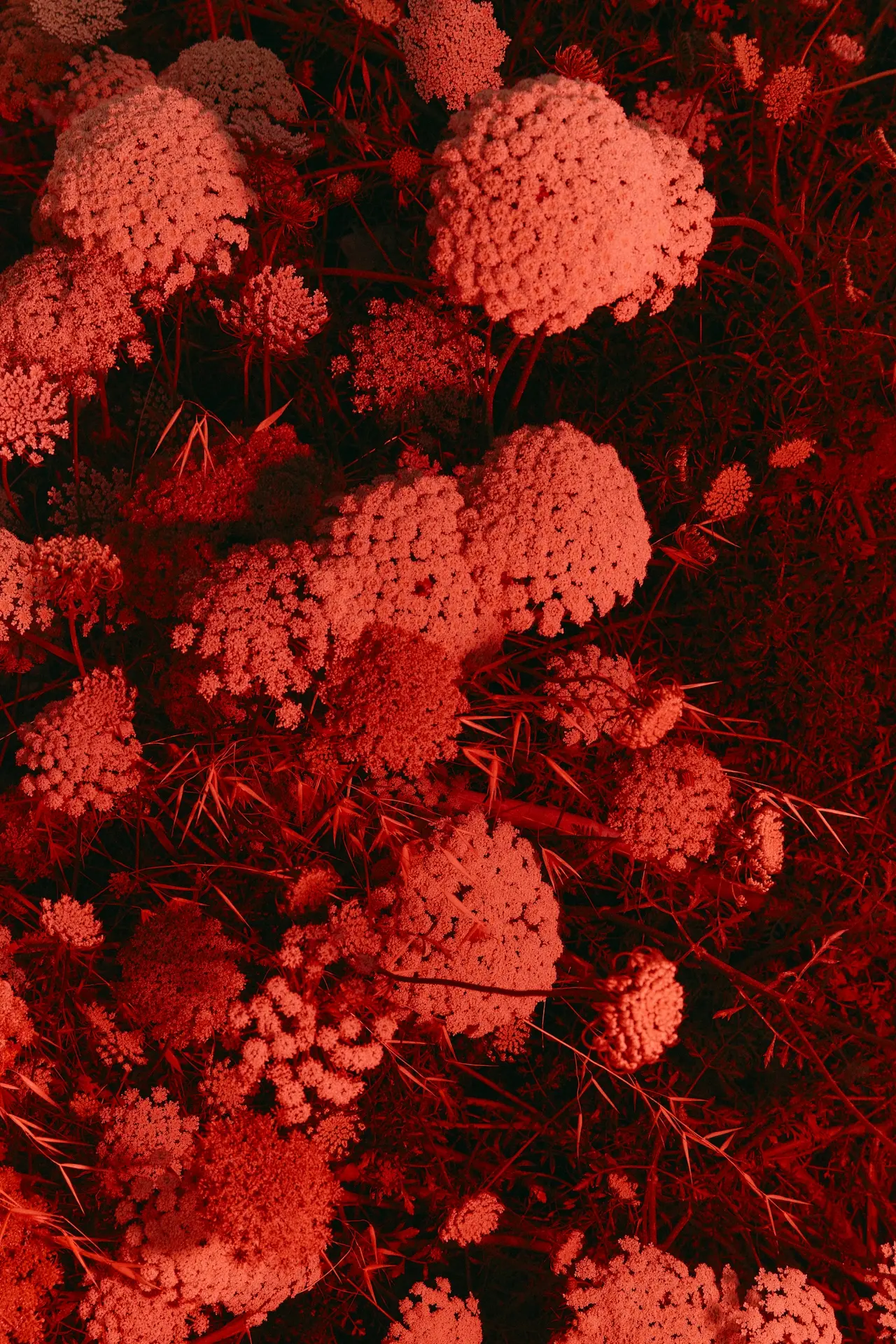 Illustrasjon av biomarkører