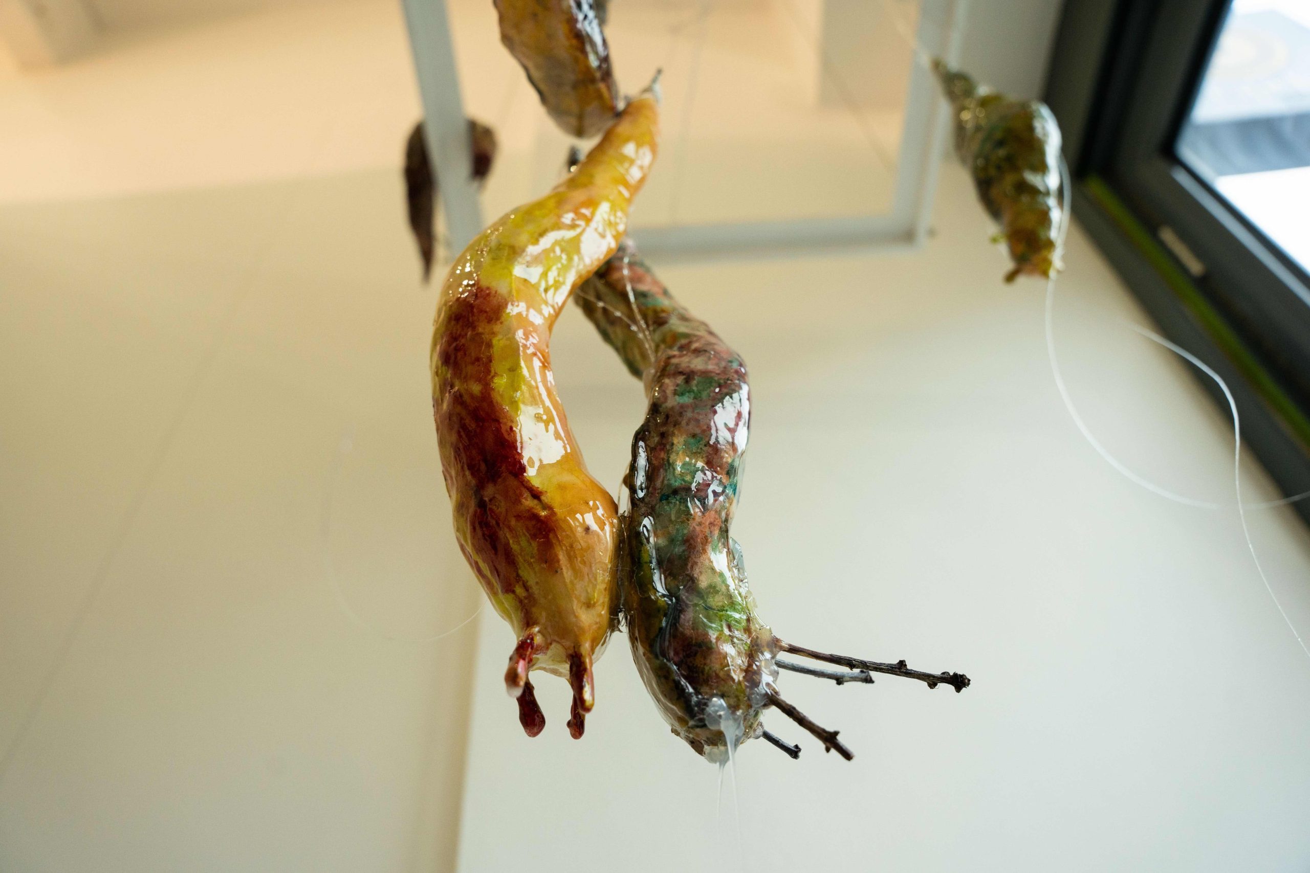 Close-up of glossy, colorful ceramic or resin sculptures resembling elongated organic shapes hanging from thin wires indoors near a window.