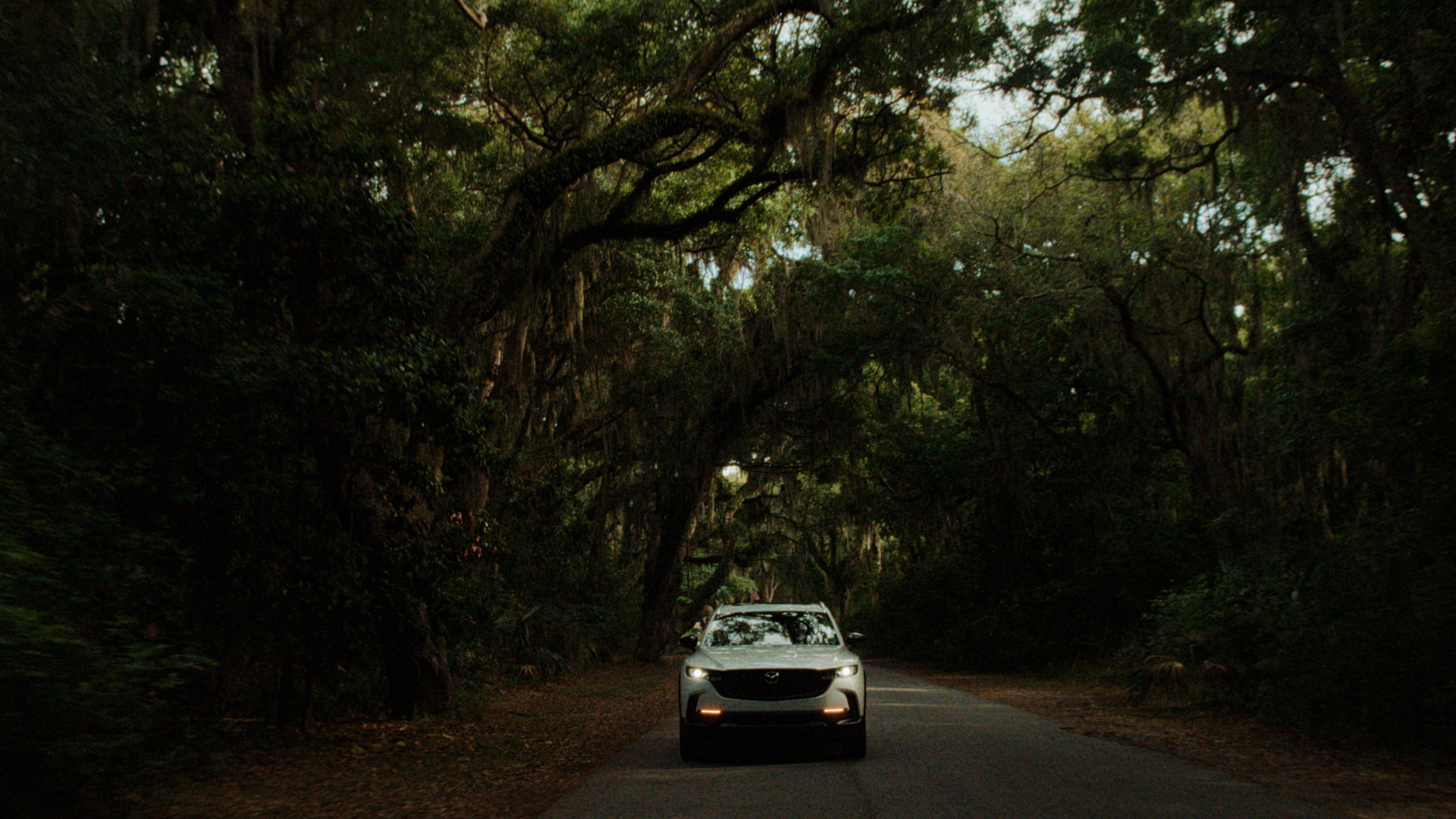 Georgia Road Trip Series 