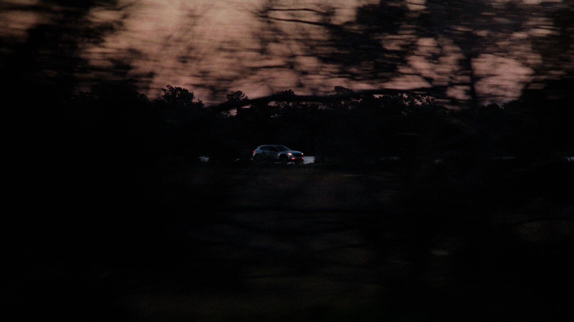 Georgia Road Trip Series 