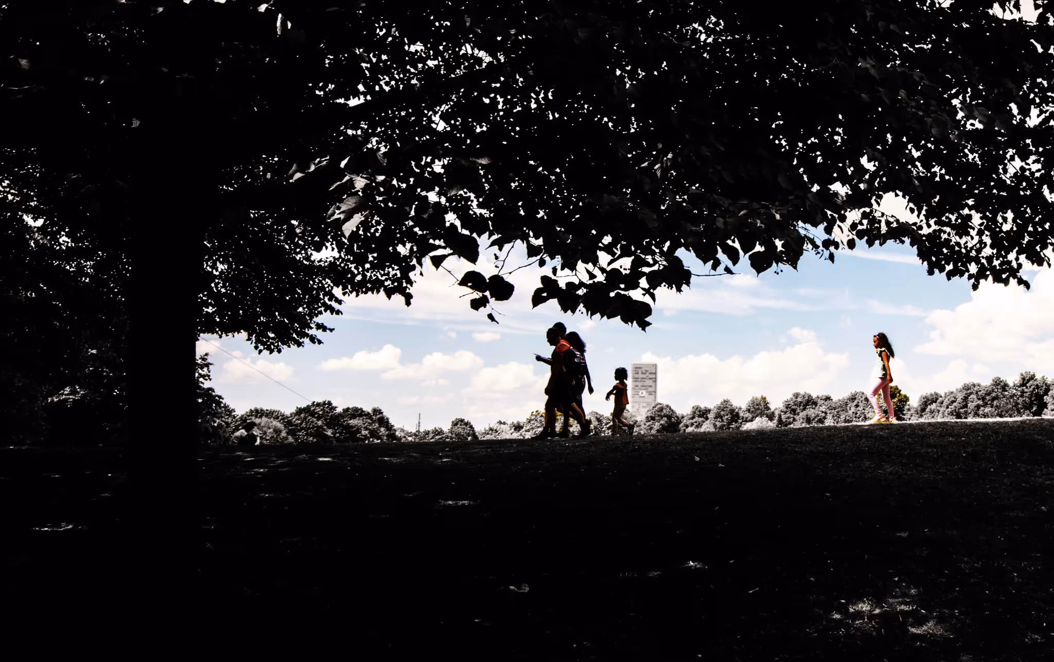 Silhouetten von vier Erwachsenen und einem Kind, die auf einem Hügel unter einem großen Baum wandern, bei bewölktem Himmel.