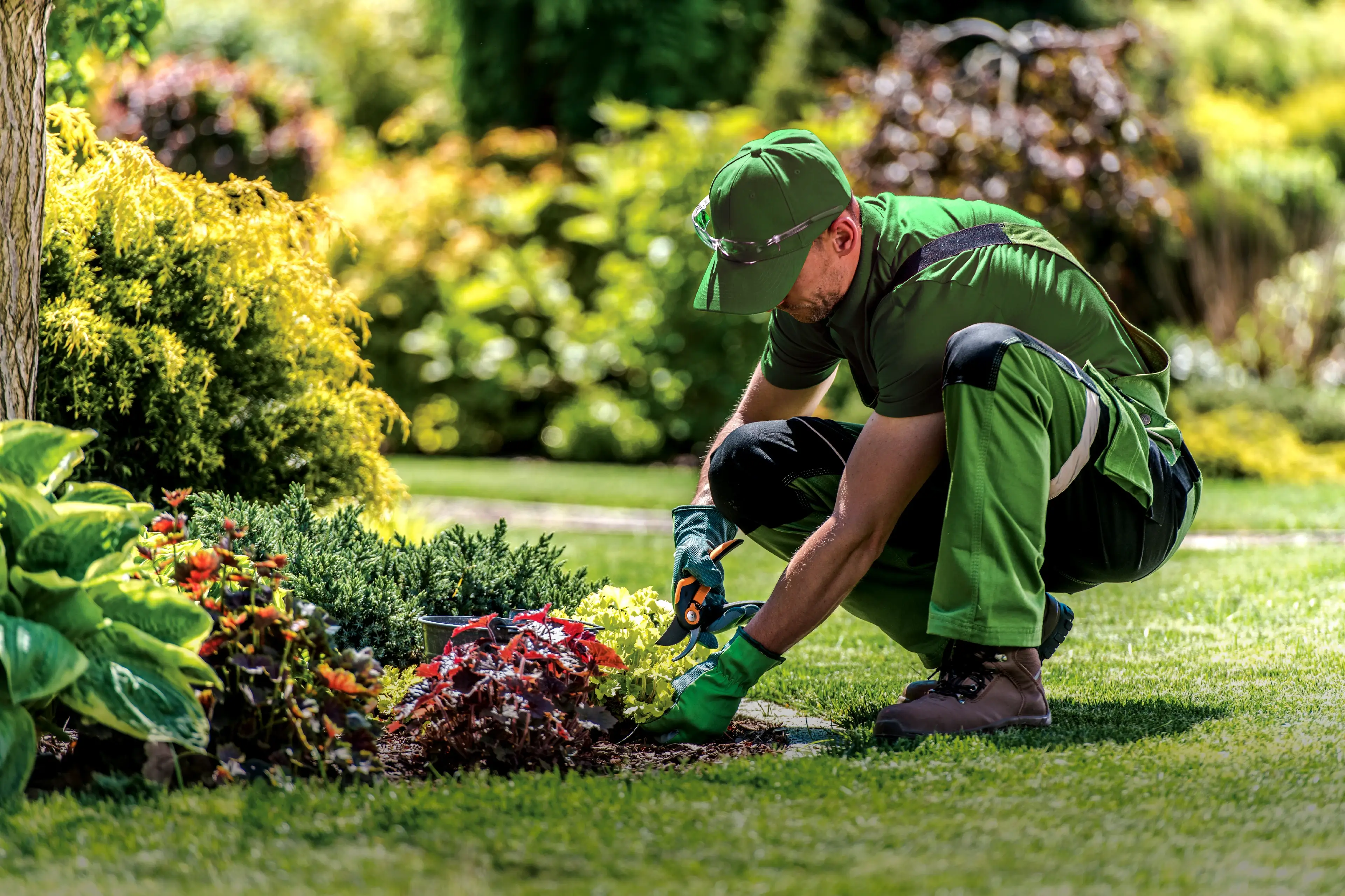 Man delicately trimming back flowers and bushes in yard
