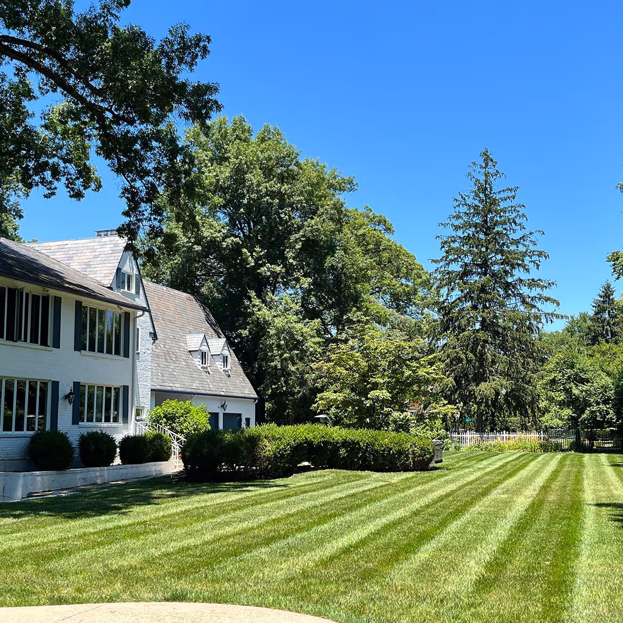 Cincinnati fresh cut lawn and edging service
