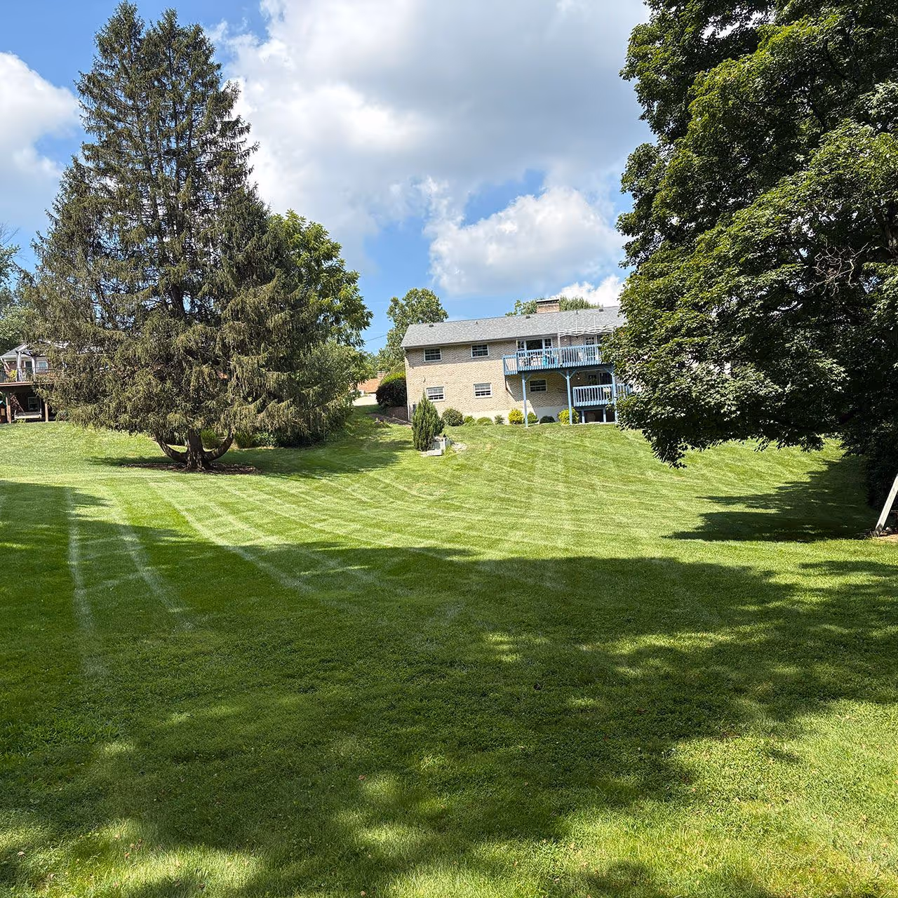 Professional lawn maintenance near me