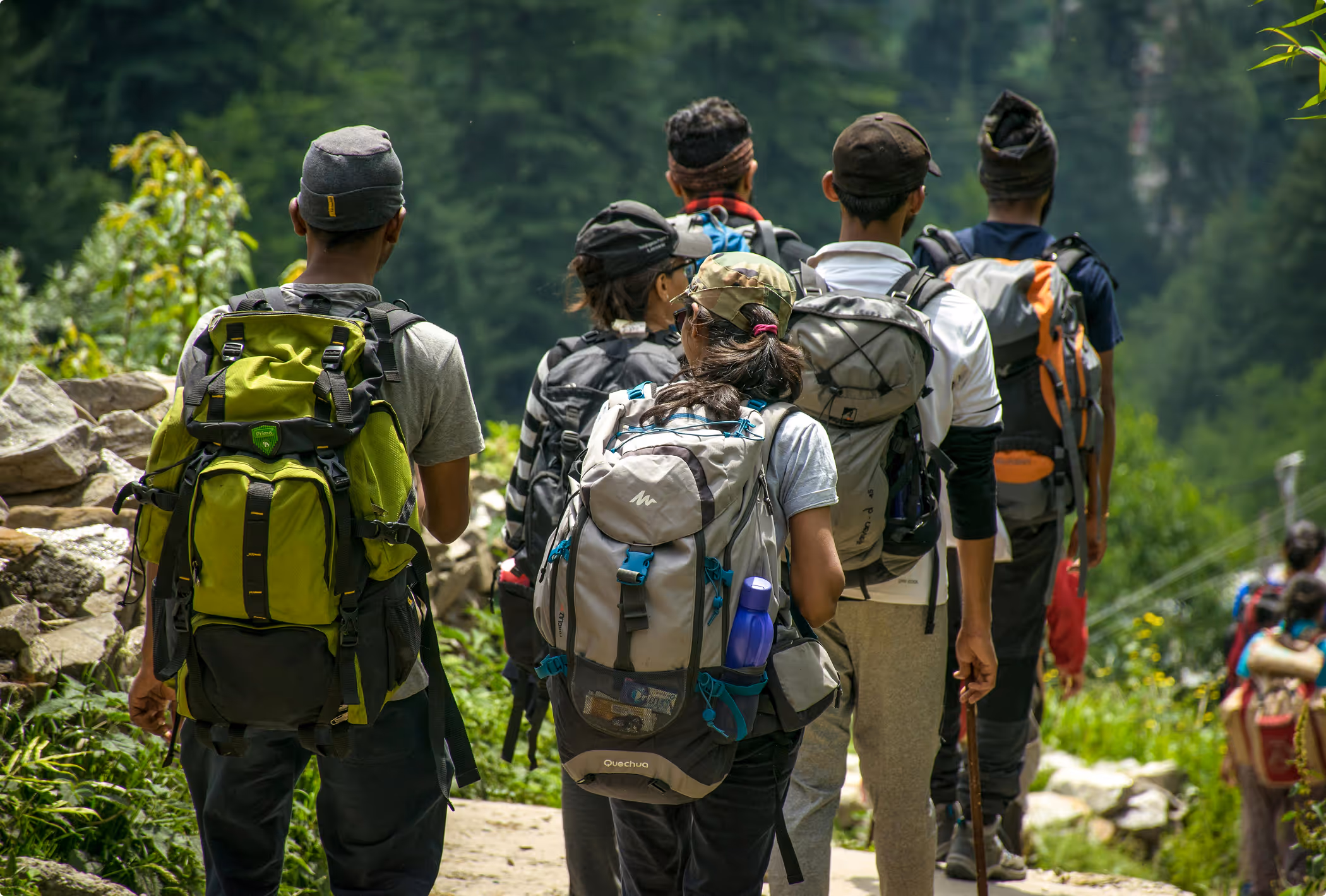 Six hikers walking along a trail from behind with loaded hiking packs visible.